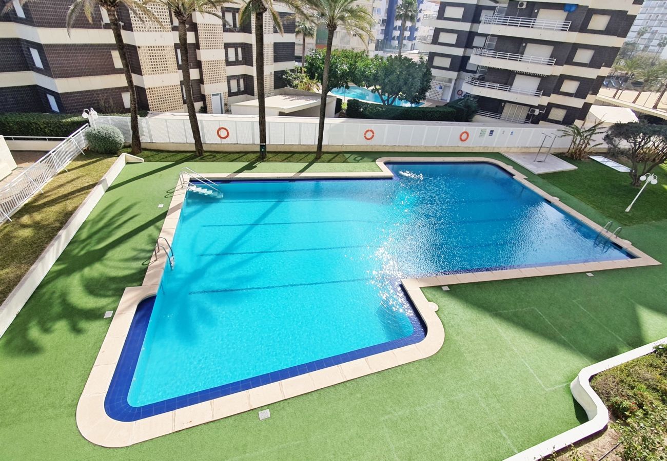 Apartamento en Gandia - AGUAMARINA 2º - 3 - Izq  /  PLAYA DE GANDIA
