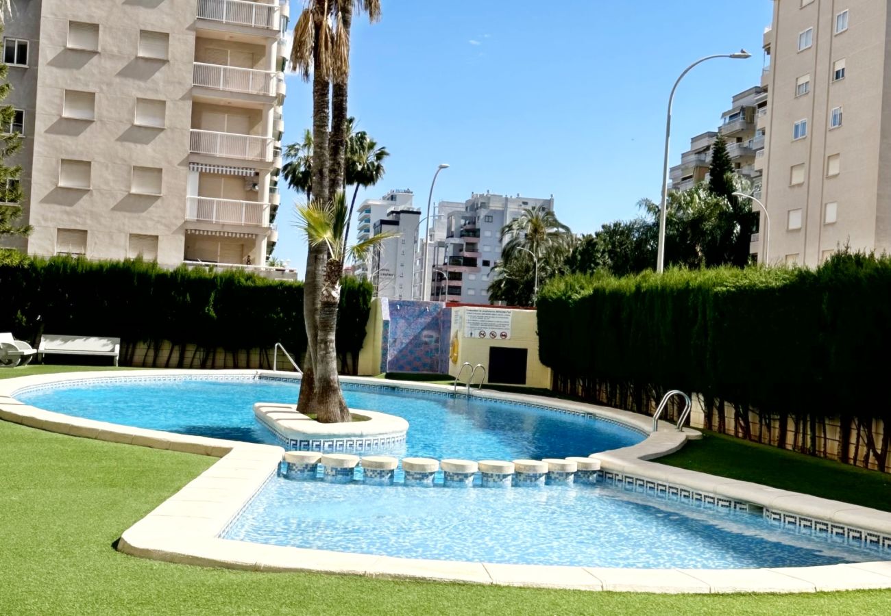 Apartamento en Gandia - BITACORA 8 - 2 - 7 - D   /   PLAYA DE GANDIA