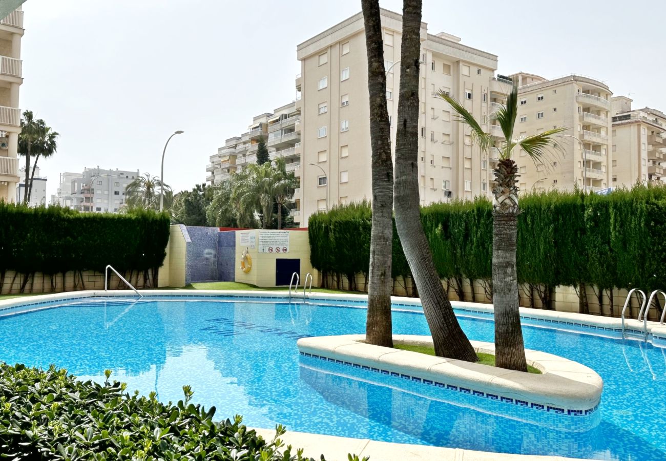 Apartamento en Gandia - BITACORA 8 - 2 - 7 - D   /   PLAYA DE GANDIA