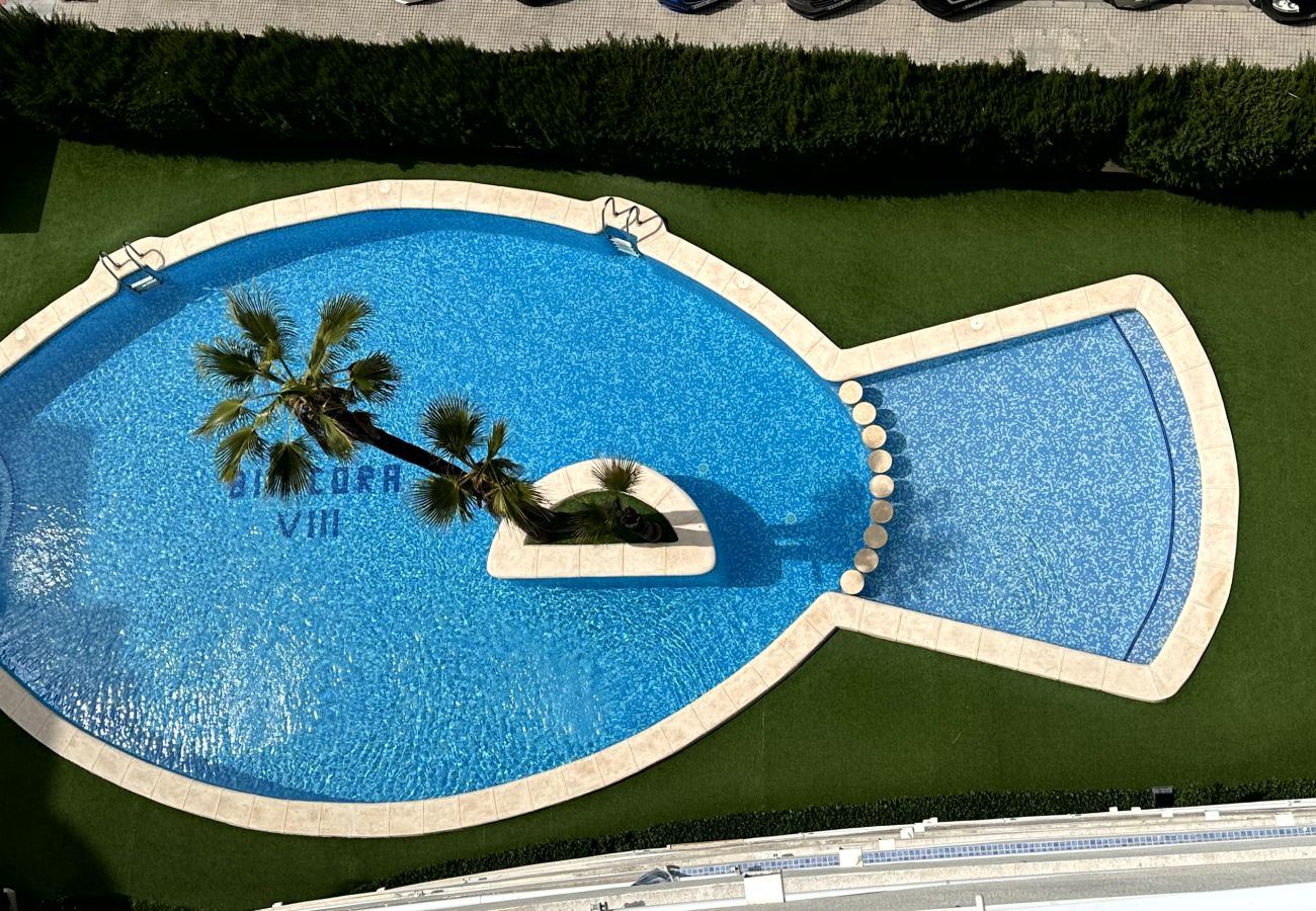 Apartamento en Gandia - BITACORA 8 - 3 - 8 - E    /    PLAYA DE GANDIA