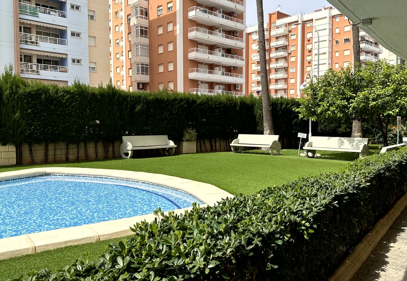 Apartamento en Gandia - BITACORA 8 - 3 - 8 - E    /    PLAYA DE GANDIA