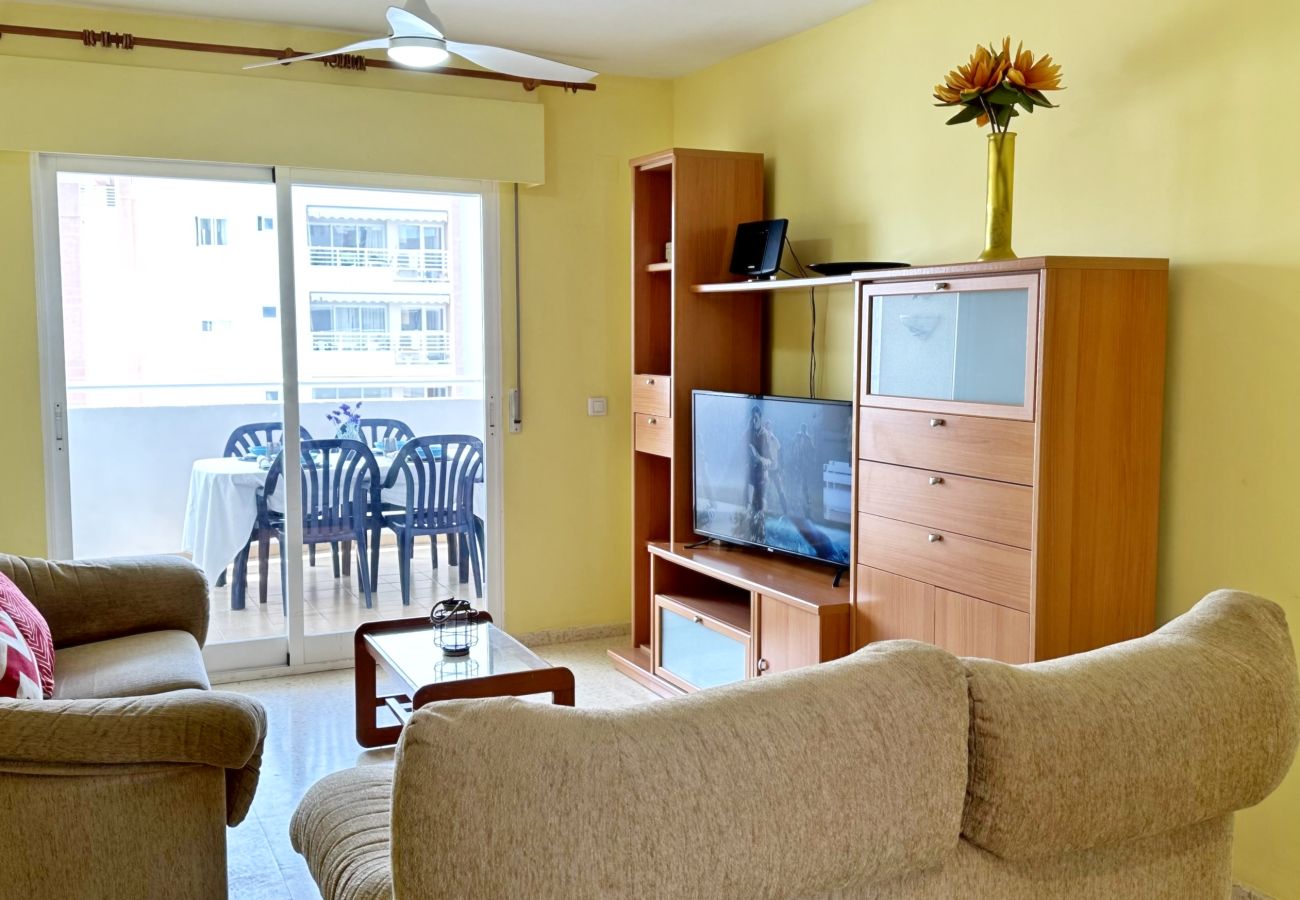 Apartamento en Gandia - BITACORA 8 - 3 - 8 - E    /    PLAYA DE GANDIA