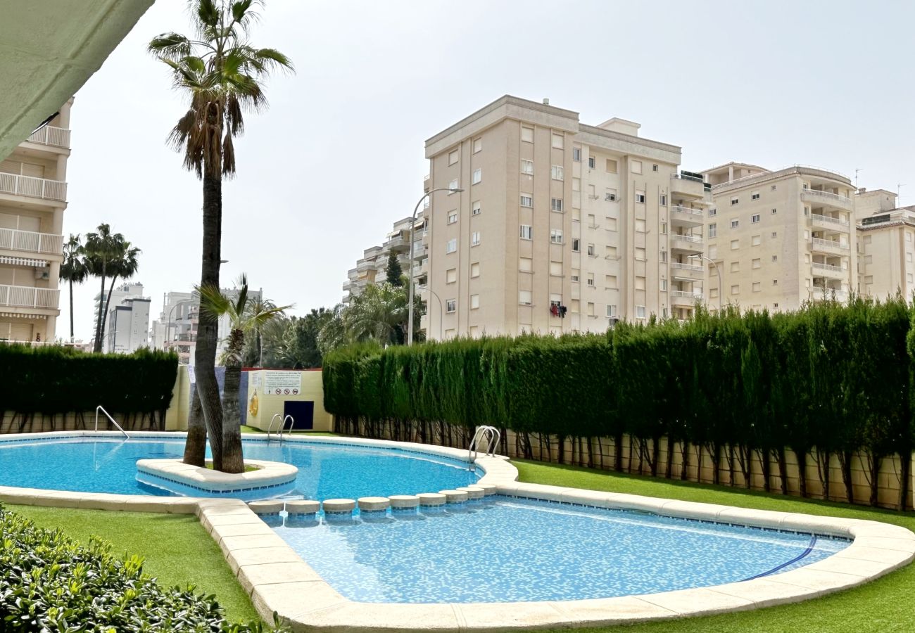 Apartamento en Gandia - BITACORA 8 - 3 - 8 - E    /    PLAYA DE GANDIA