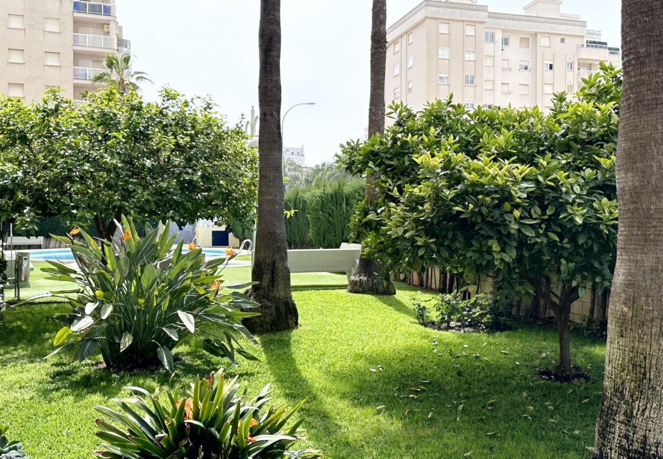 Apartamento en Gandia - BITACORA 8 - 3 - 8 - E    /    PLAYA DE GANDIA