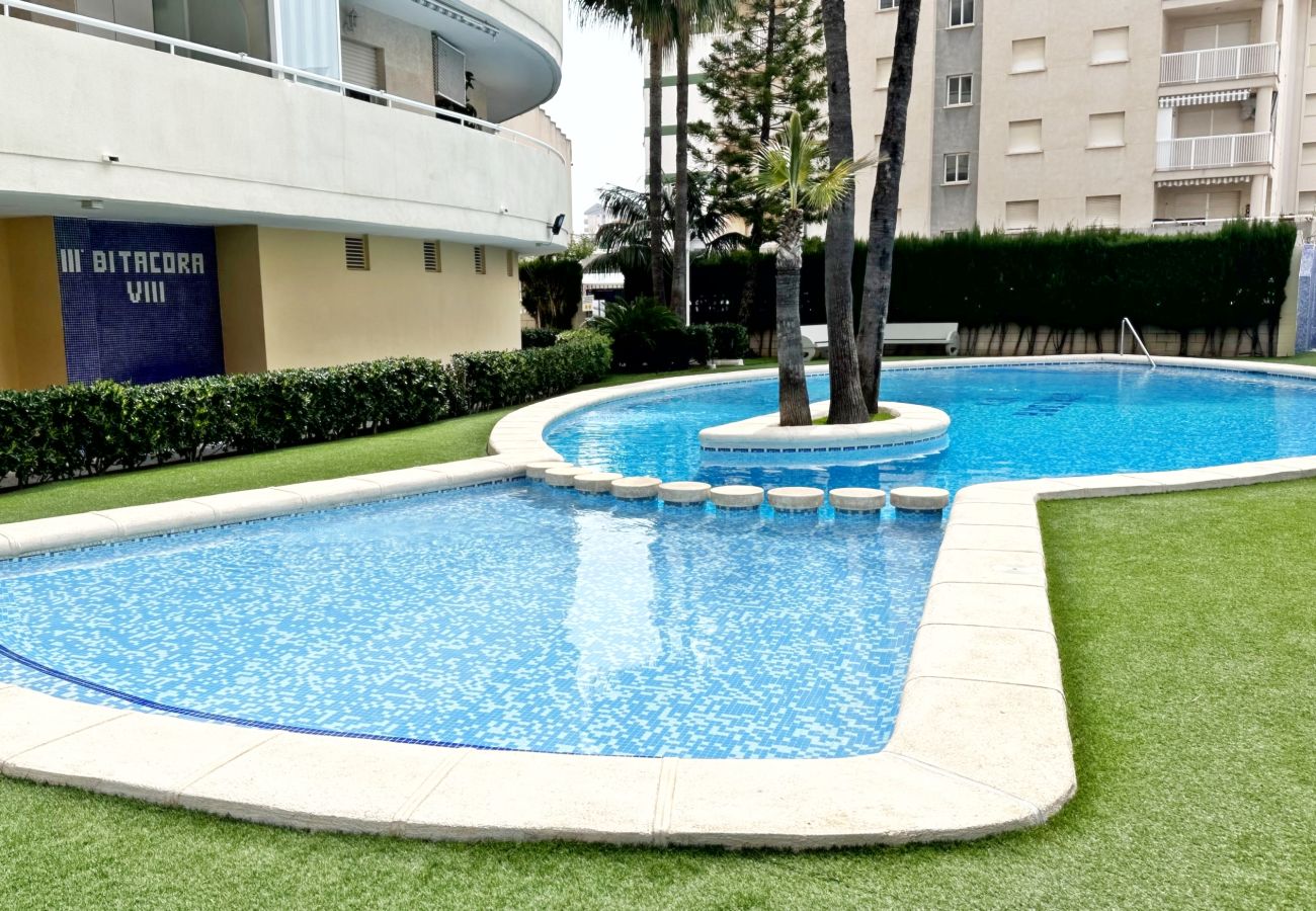 Apartamento en Gandia - BITACORA 8 - 3 - 8 - E    /    PLAYA DE GANDIA