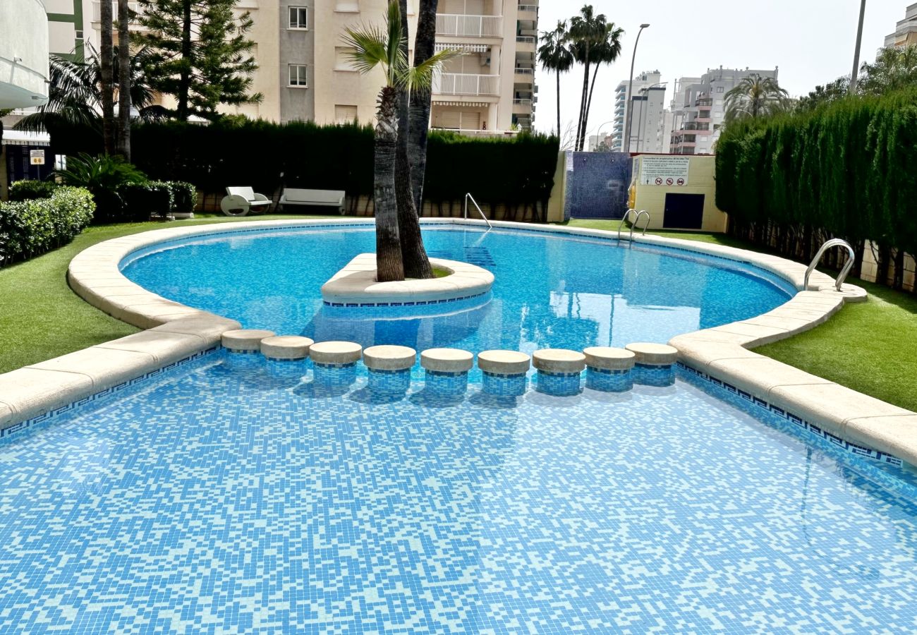 Apartamento en Gandia - BITACORA 8 - 3 - 8 - E    /    PLAYA DE GANDIA
