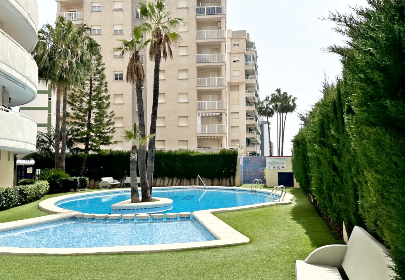 Apartamento en Gandia - BITACORA 8 - 3 - 8 - E    /    PLAYA DE GANDIA