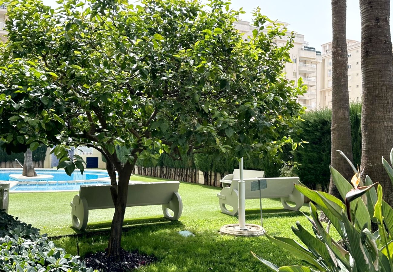 Apartamento en Gandia - BITACORA 8 - 3 - 8 - E    /    PLAYA DE GANDIA