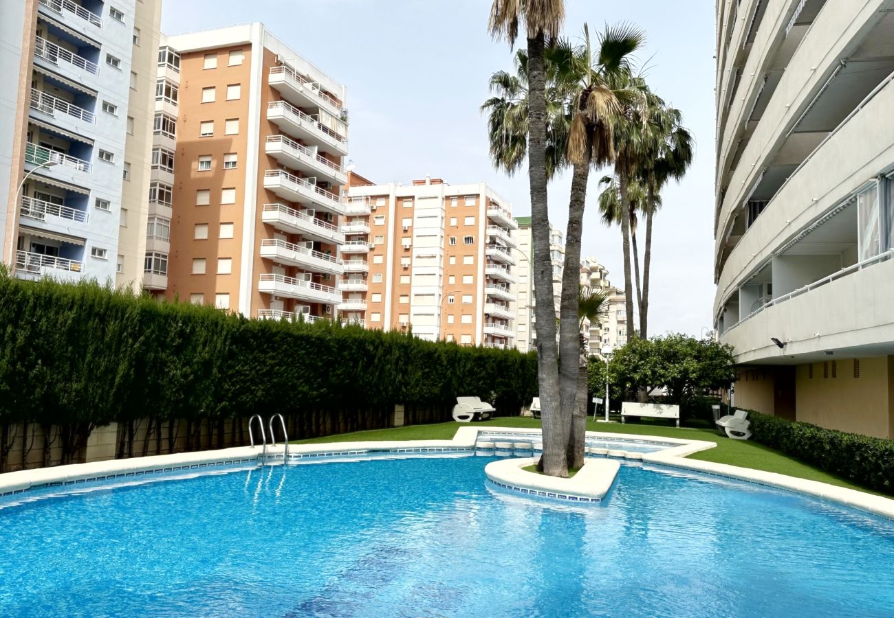 Apartamento en Gandia - BITACORA 8 - 3 - 8 - E    /    PLAYA DE GANDIA