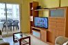 Apartamento en Gandia - BITACORA 8 - 3 - 8 - E    /    PLAYA DE GANDIA