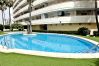 Apartamento en Gandia - BITACORA 8 - 3 - 8 - E    /    PLAYA DE GANDIA