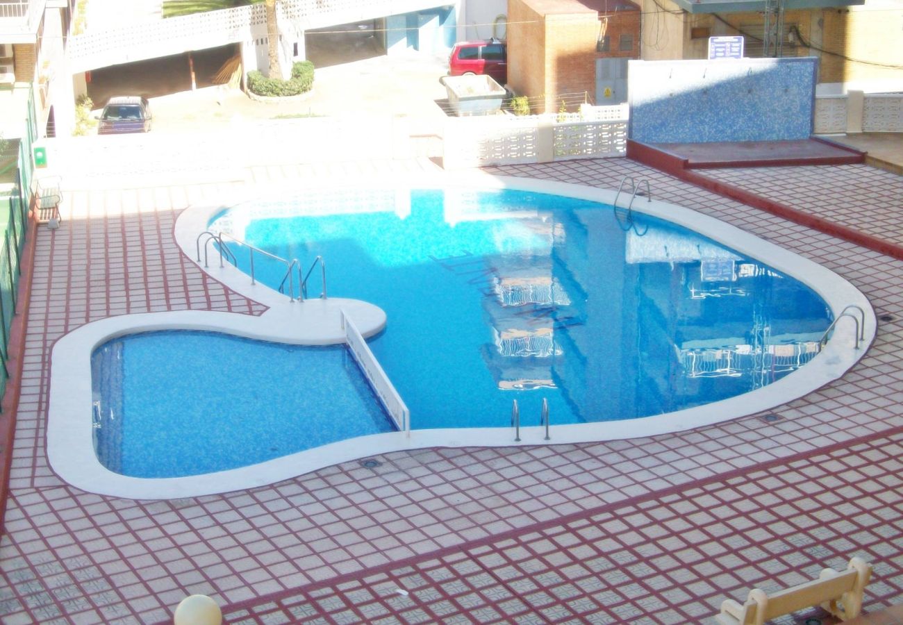 Apartamento en Gandia - INFANTE E3  - 10º   /   PLAYA DE GANDIA