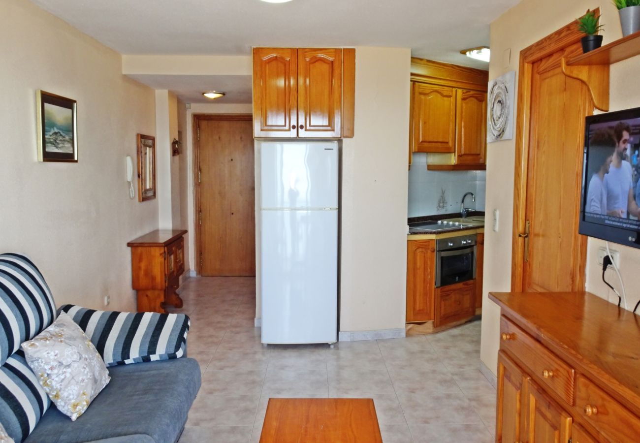 Apartamento en Gandia - INFANTE E3  - 10º   /   PLAYA DE GANDIA