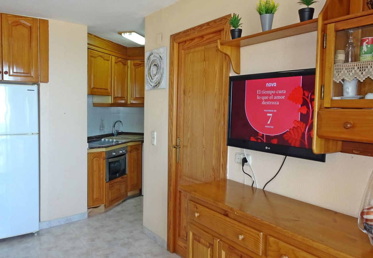 Apartamento en Gandia - INFANTE E3  - 10º   /   PLAYA DE GANDIA