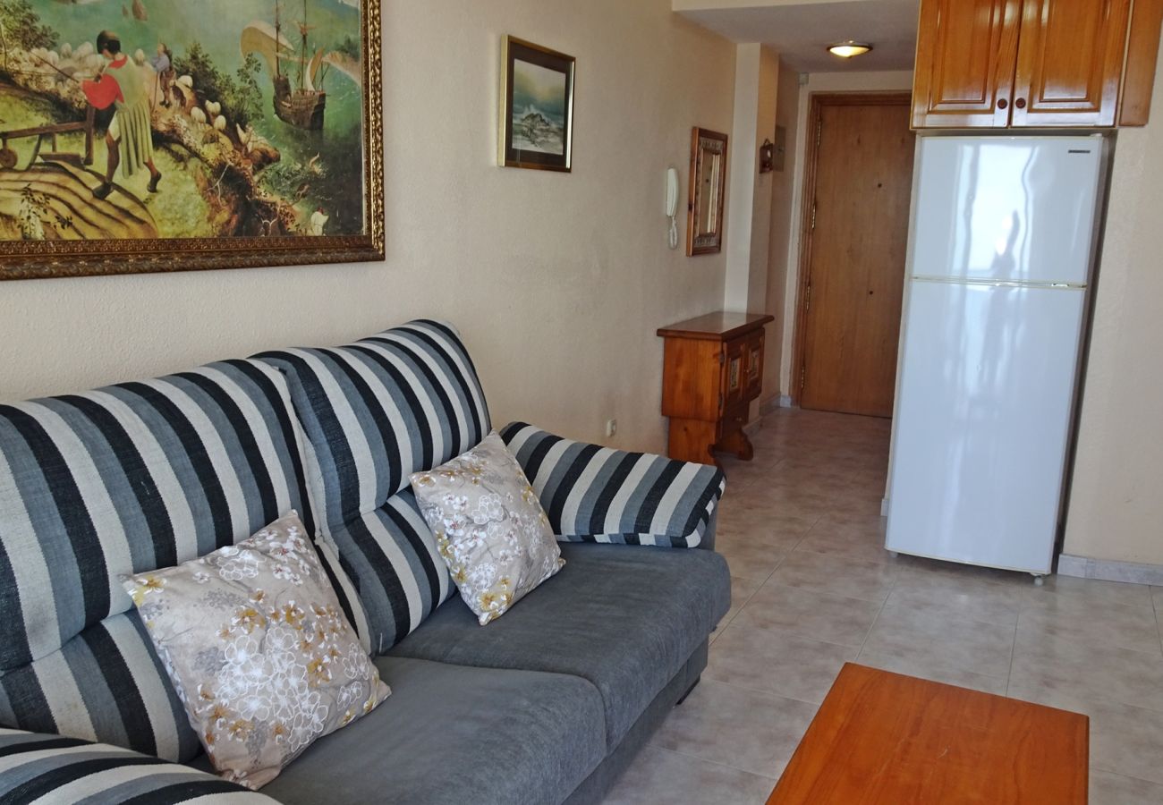 Apartamento en Gandia - INFANTE E3  - 10º   /   PLAYA DE GANDIA