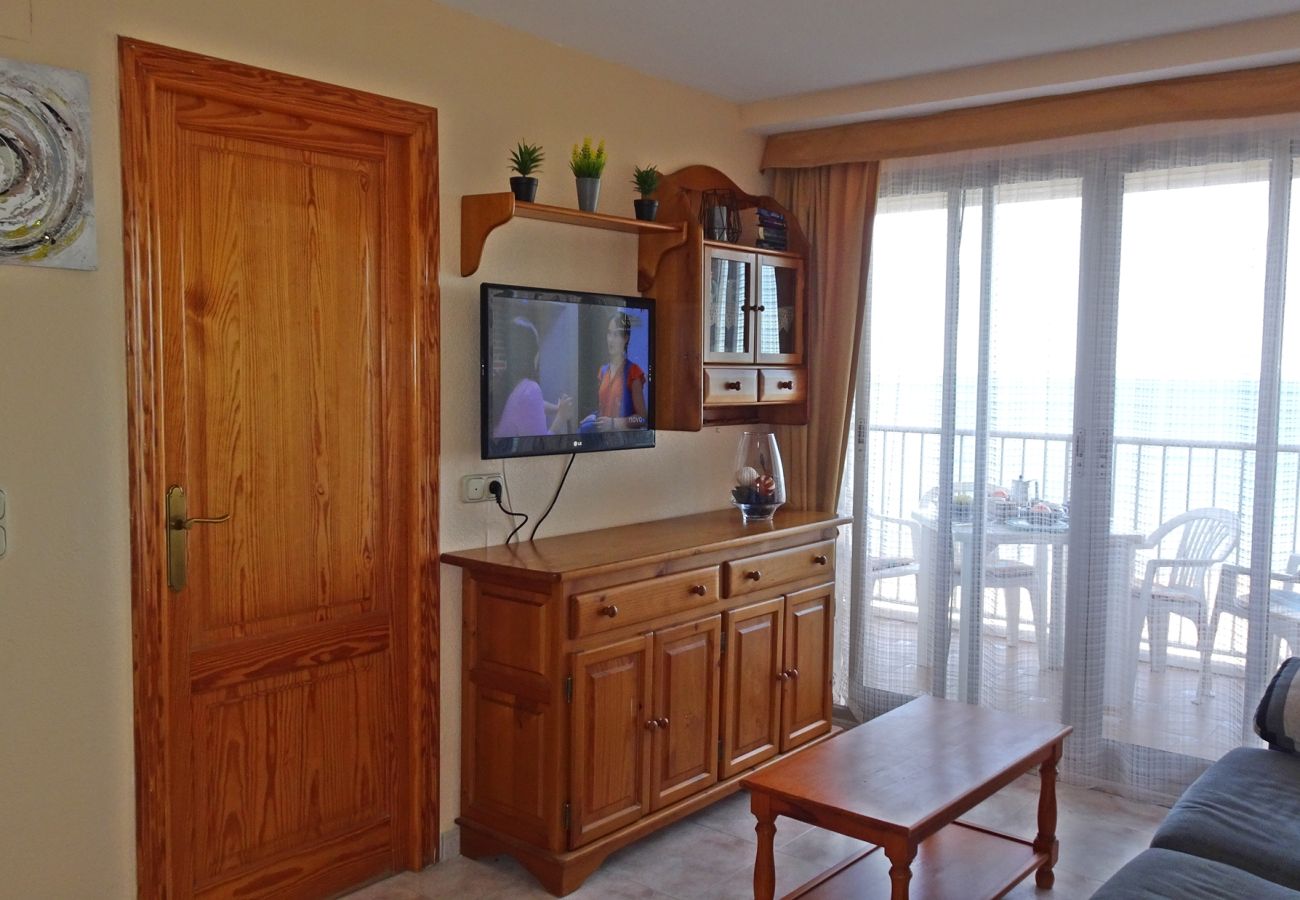 Apartamento en Gandia - INFANTE E3  - 10º   /   PLAYA DE GANDIA