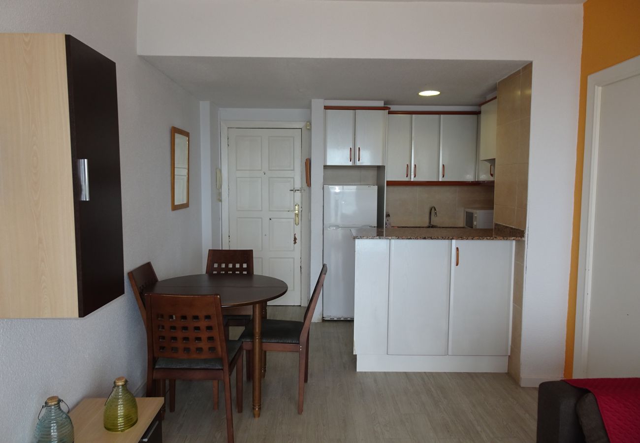 Apartamento en Gandia - INFANTE E2 - 12º   /   PLAYA DE GANDIA