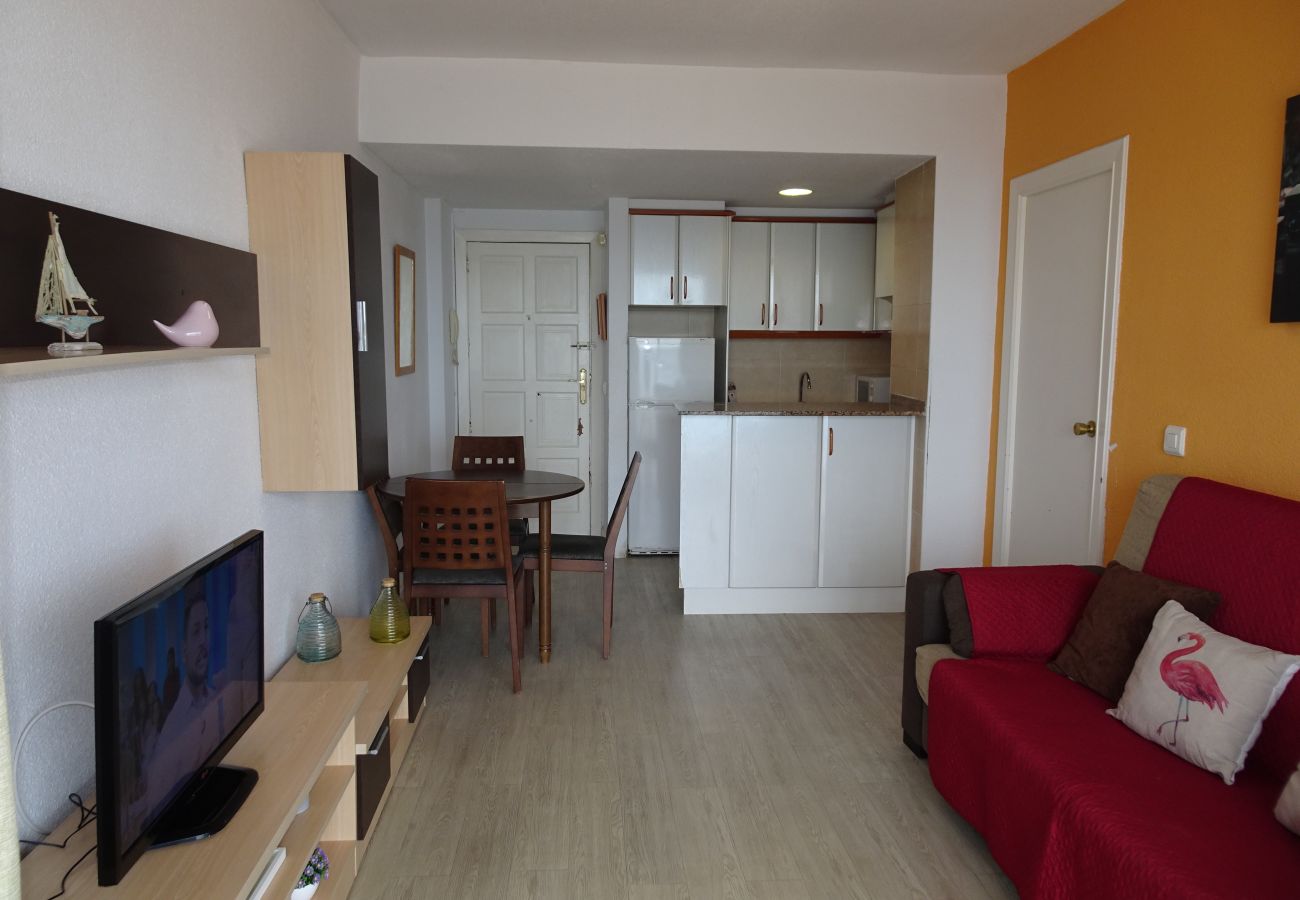 Apartamento en Gandia - INFANTE E2 - 12º   /   PLAYA DE GANDIA