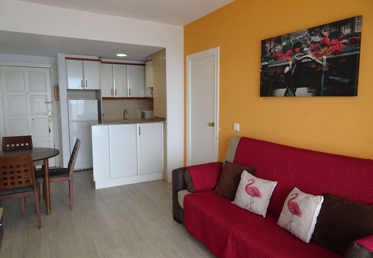 Apartamento en Gandia - INFANTE E2 - 12º   /   PLAYA DE GANDIA
