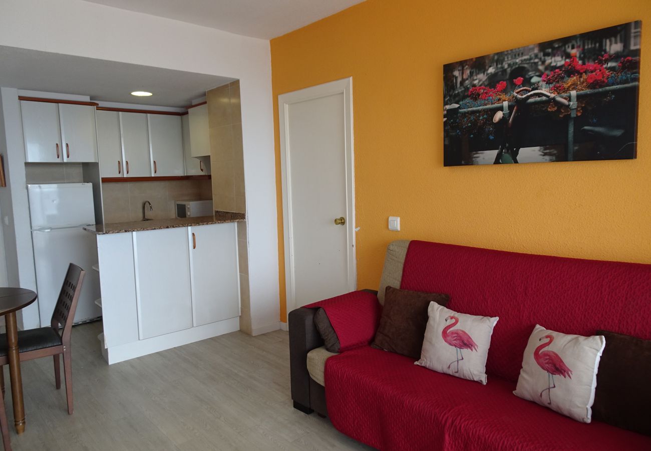 Apartamento en Gandia - INFANTE E2 - 12º   /   PLAYA DE GANDIA