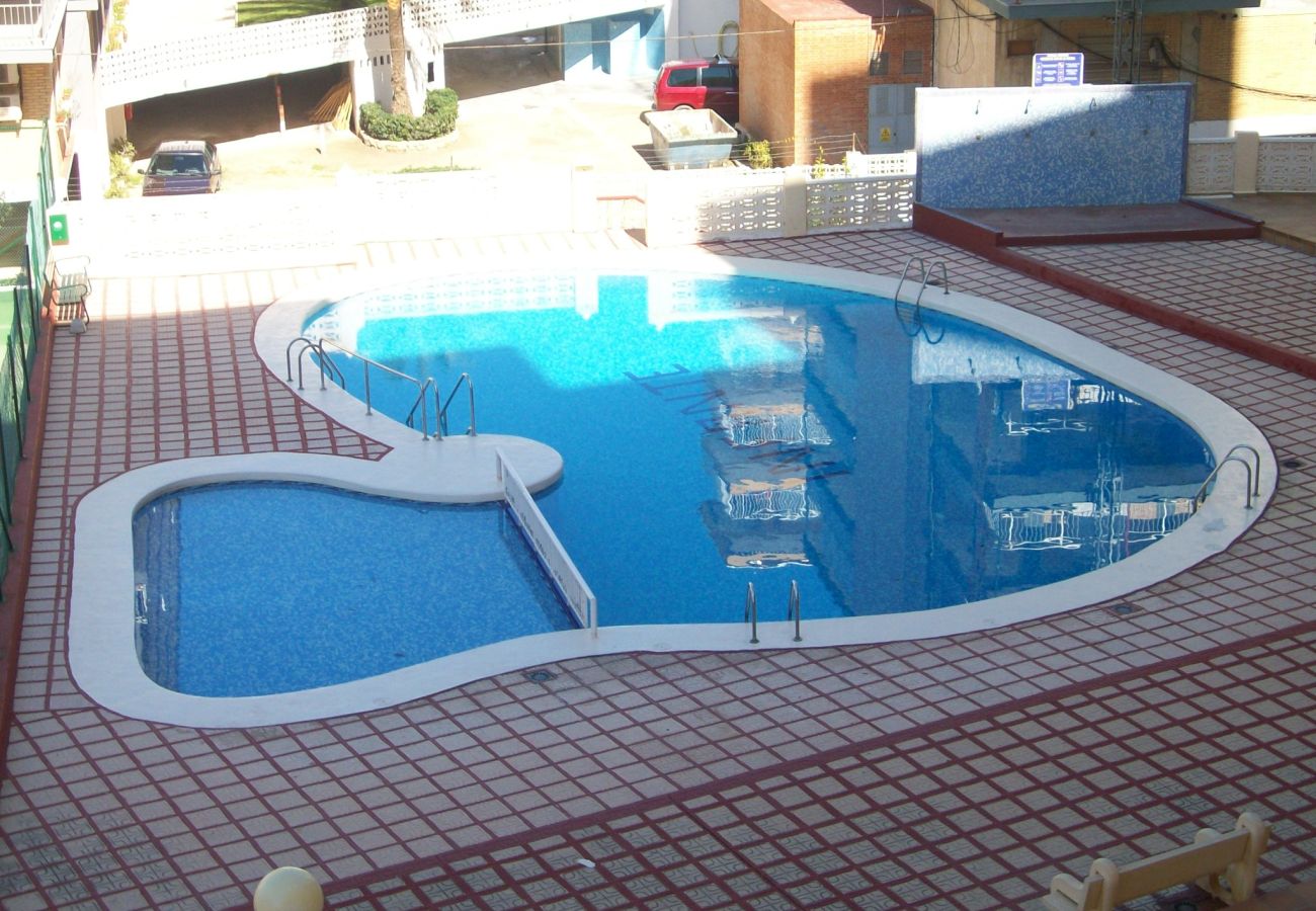 Apartamento en Gandia - INFANTE E1 - 3º  /   PLAYA DE GANDIA