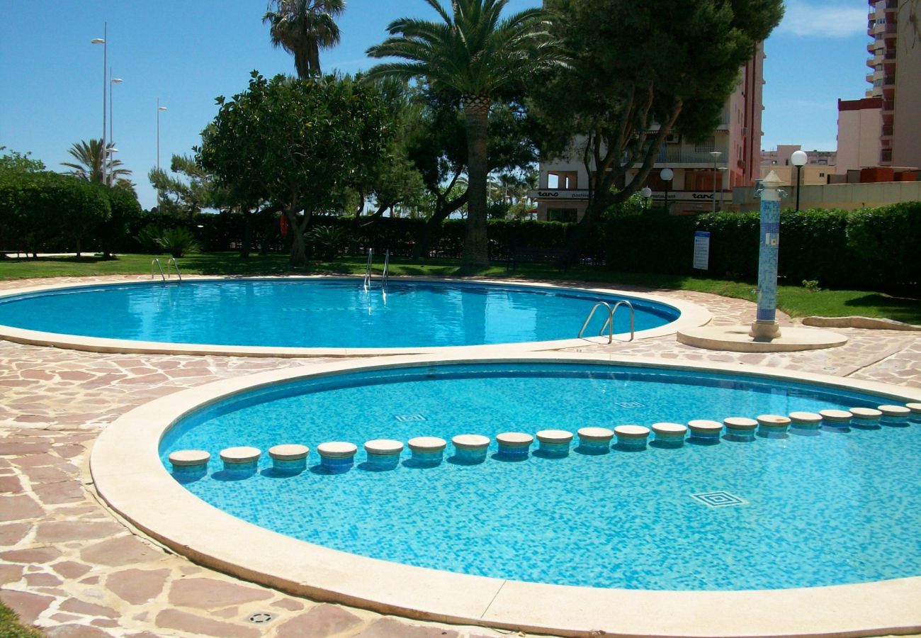 Apartamento en Gandia - MANILA II - 9 - B   /  PLAYA DE GANDIA