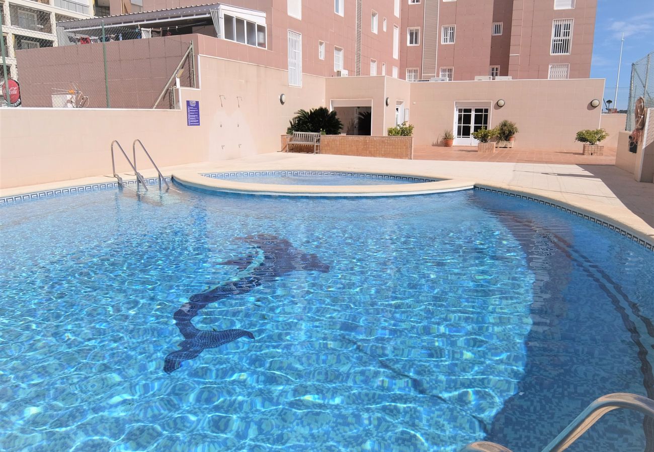 Apartamento en Gandia - CAPRI 1ª - 2º - 7ª   /   PLAYA DE GANDIA