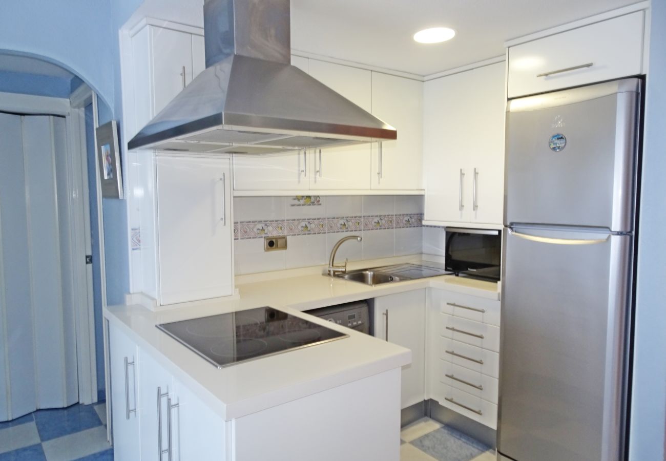 Apartamento en Gandia - BONAIRE CELESTE  EN PLAYA DE GANDIA