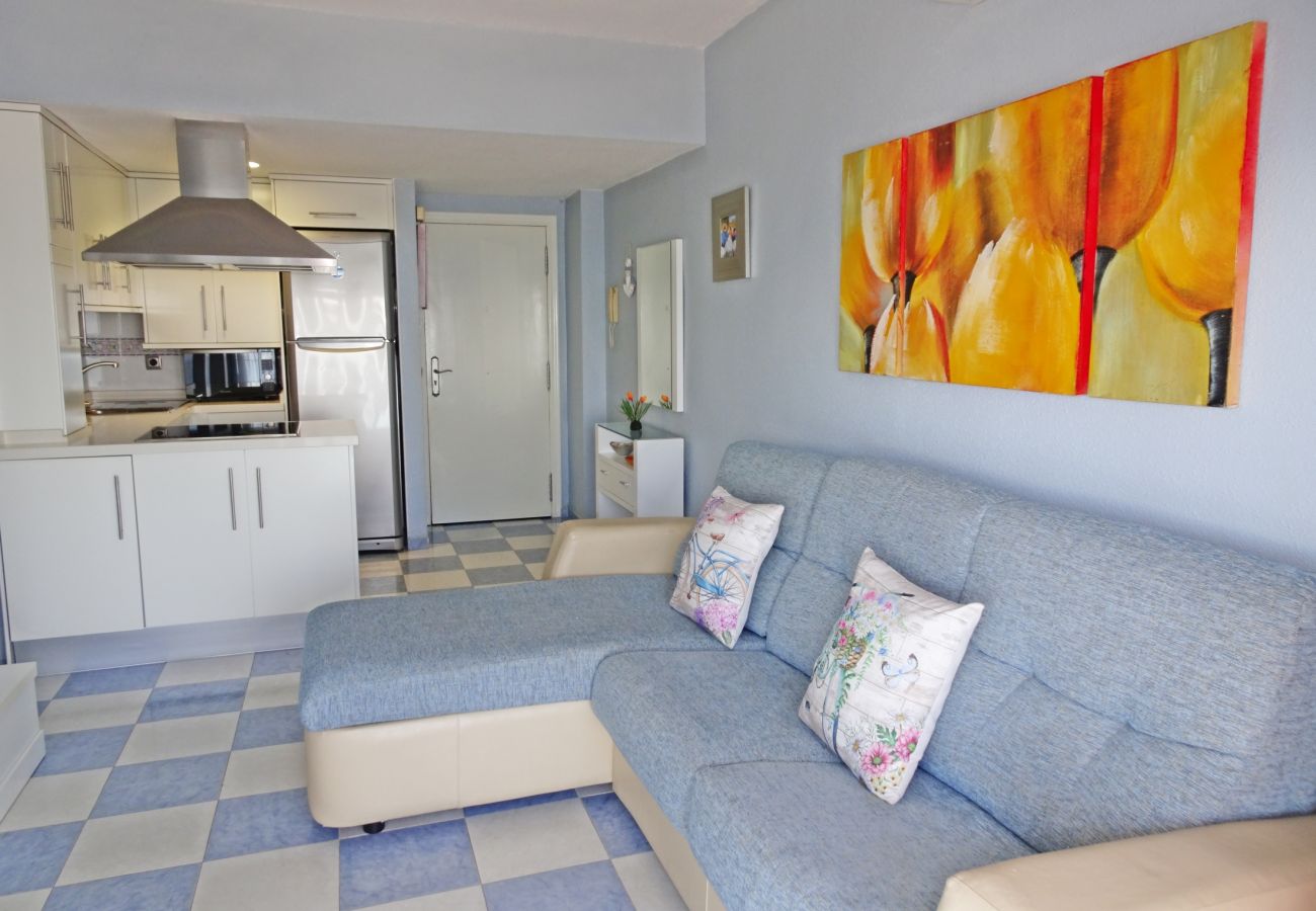 Apartamento en Gandia - BONAIRE CELESTE  EN PLAYA DE GANDIA