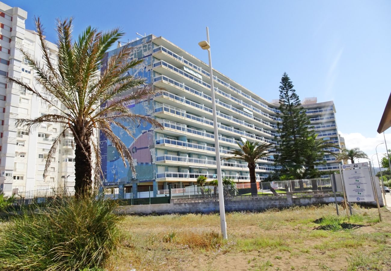 Apartamento en Gandia - AIGUA BLABA 4 - 8   /  PLAYA DE GANDIA
