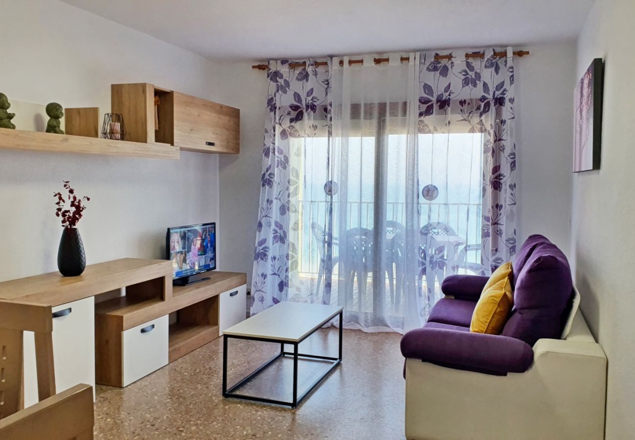 Apartamento en Gandia - DANIO 12º - B   /   EN PLAYA DE GANDIA