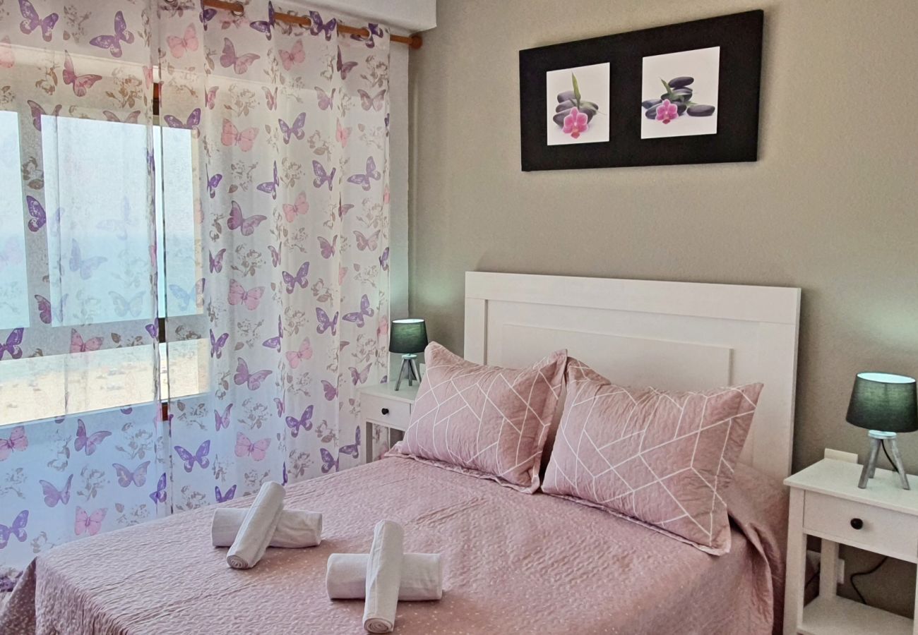 Apartamento en Gandia - DANIO 12º - B   /   EN PLAYA DE GANDIA