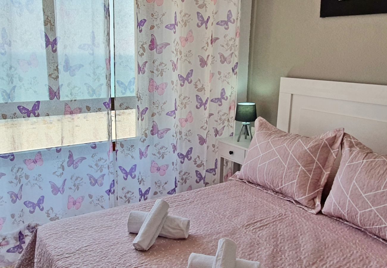 Apartamento en Gandia - DANIO 12º - B   /   EN PLAYA DE GANDIA