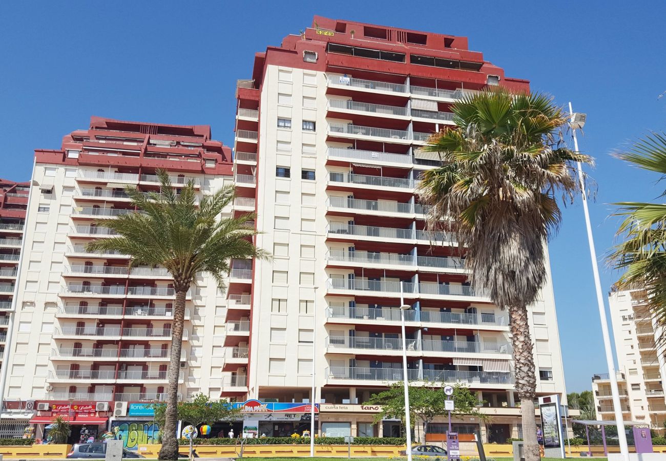 Apartamento en Gandia - DANIO 12º - B   /   EN PLAYA DE GANDIA