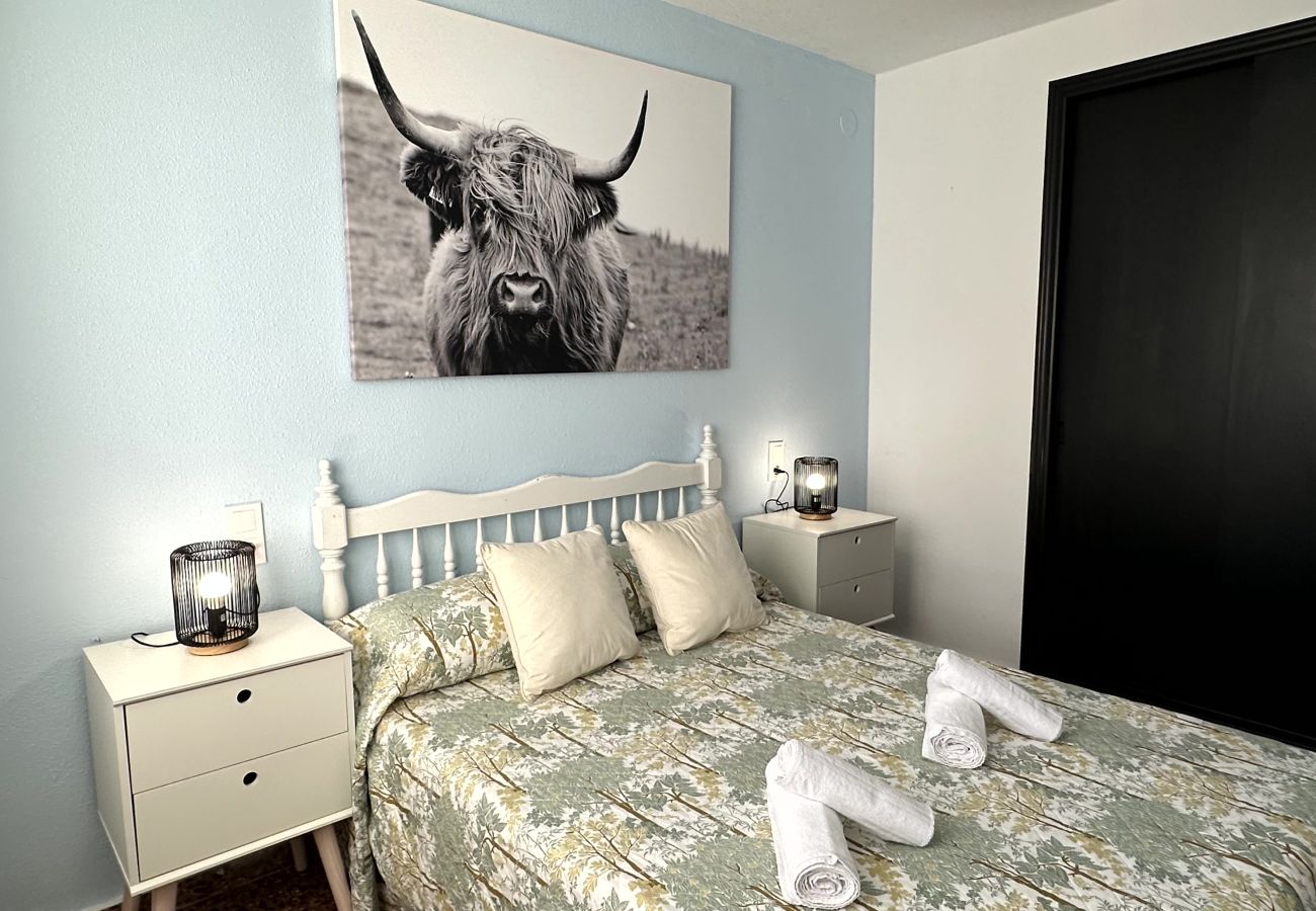 Apartamento en Gandia - BALI 8 - 15   /    EN PLAYA DE GANDIA