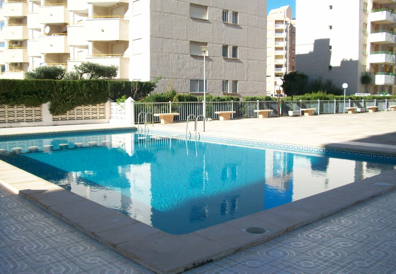 Apartamento en Gandia - BALI 8 - 15   /    EN PLAYA DE GANDIA