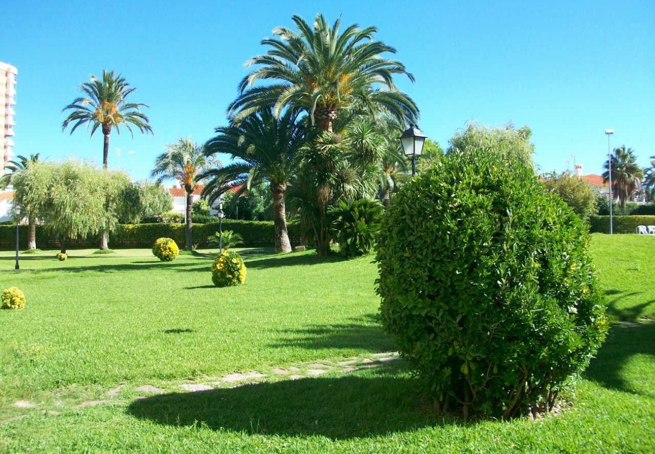 Apartamento en Gandia - LOS CARMENES 5-3-5   /   PLAYA DE GANDIA