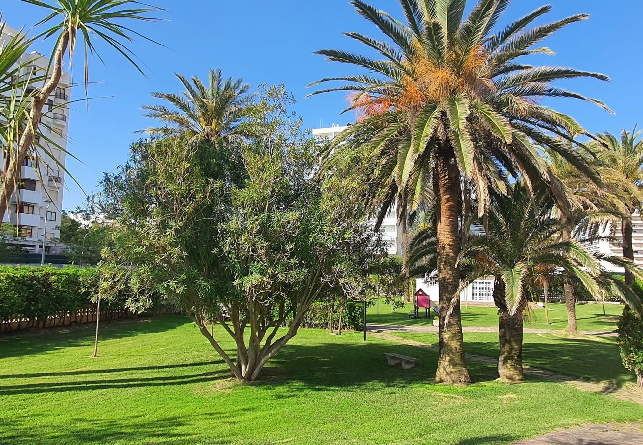 Apartamento en Gandia - LOS CARMENES 5-3-5   /   PLAYA DE GANDIA