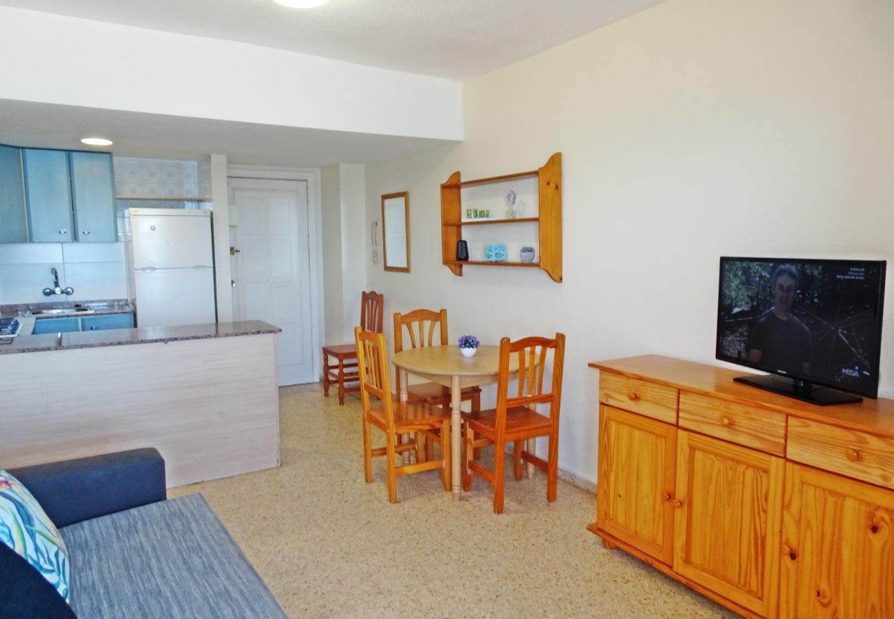 Apartamento en Gandia - BONAIRE E1 - 8º   /   PLAYA DE GANDIA