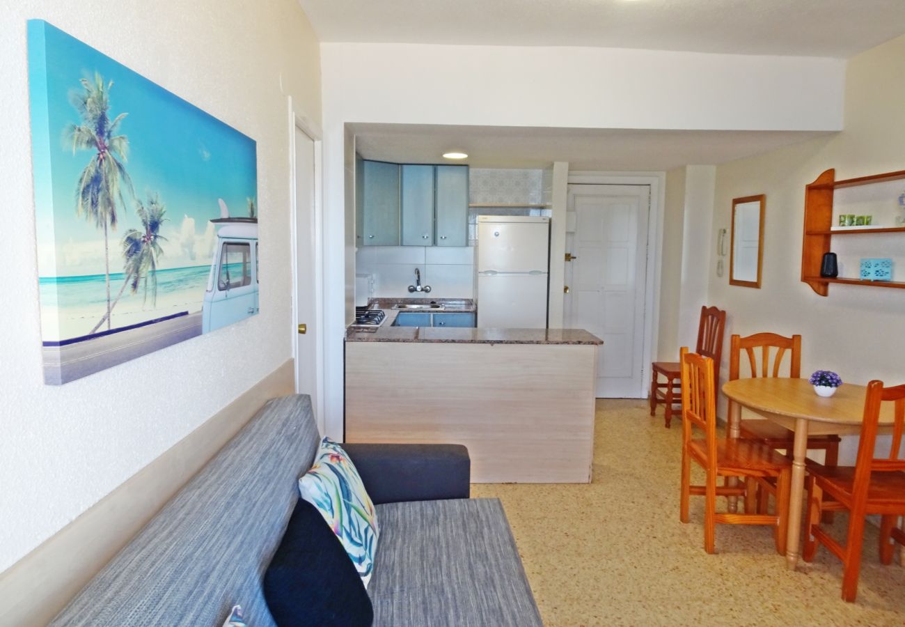 Apartamento en Gandia - BONAIRE E1 - 8º   /   PLAYA DE GANDIA