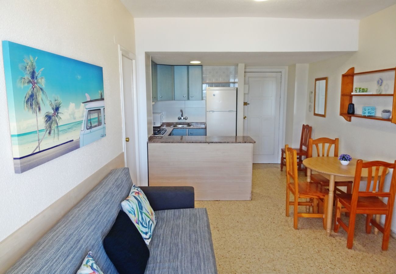 Apartamento en Gandia - BONAIRE E1 - 8º   /   PLAYA DE GANDIA