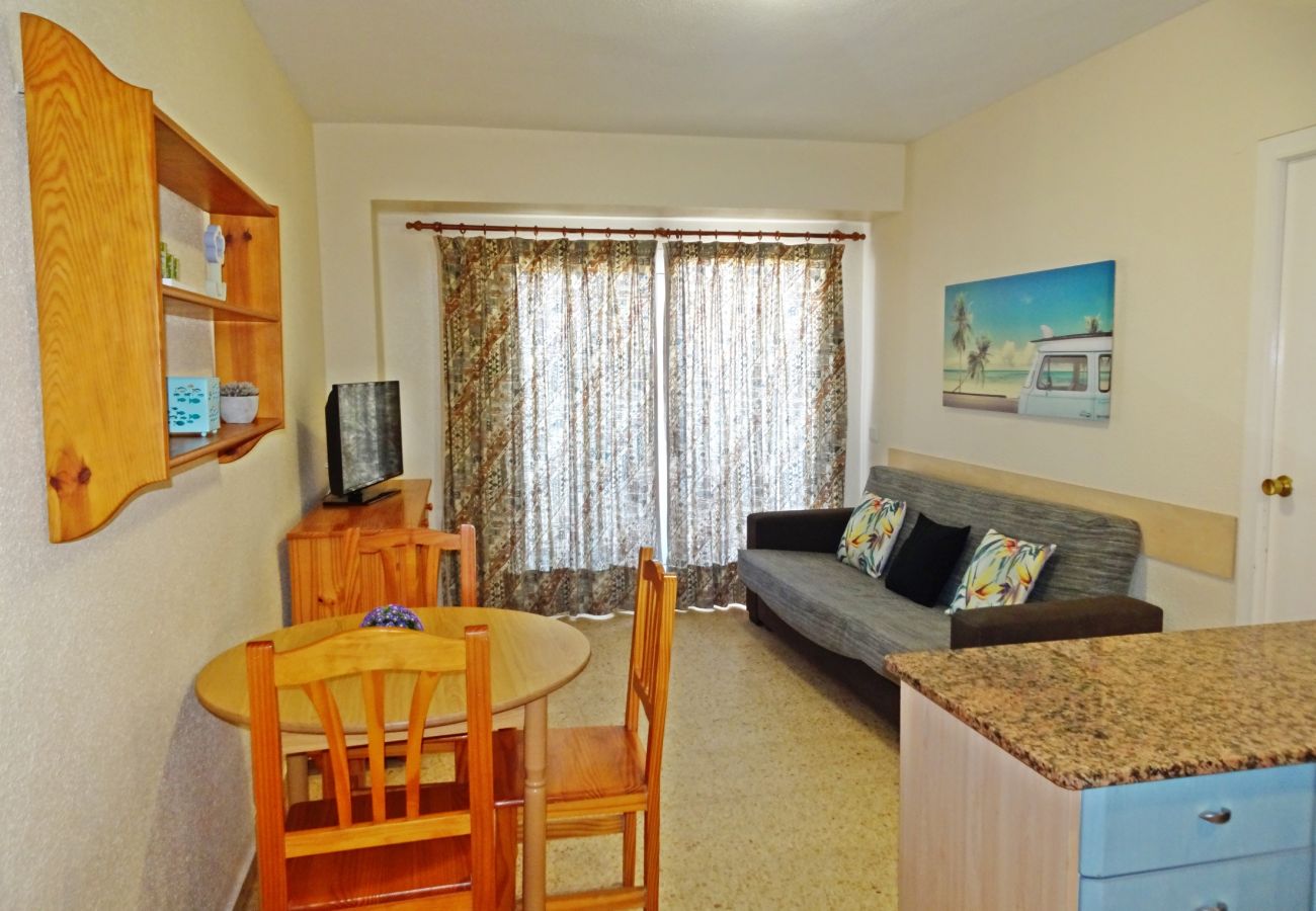 Apartamento en Gandia - BONAIRE E1 - 8º   /   PLAYA DE GANDIA