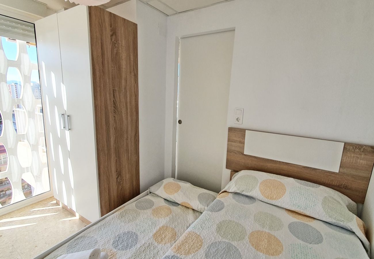 Apartamento en Gandia - TORRES DEL MAR 11 - 32  /  PLAYA DE GANDIA