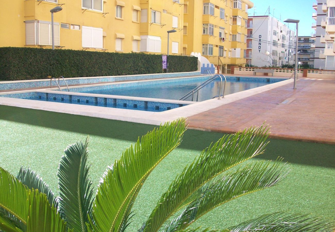 Apartamento en Gandia - TORRES DEL MAR 11 - 32  /  PLAYA DE GANDIA