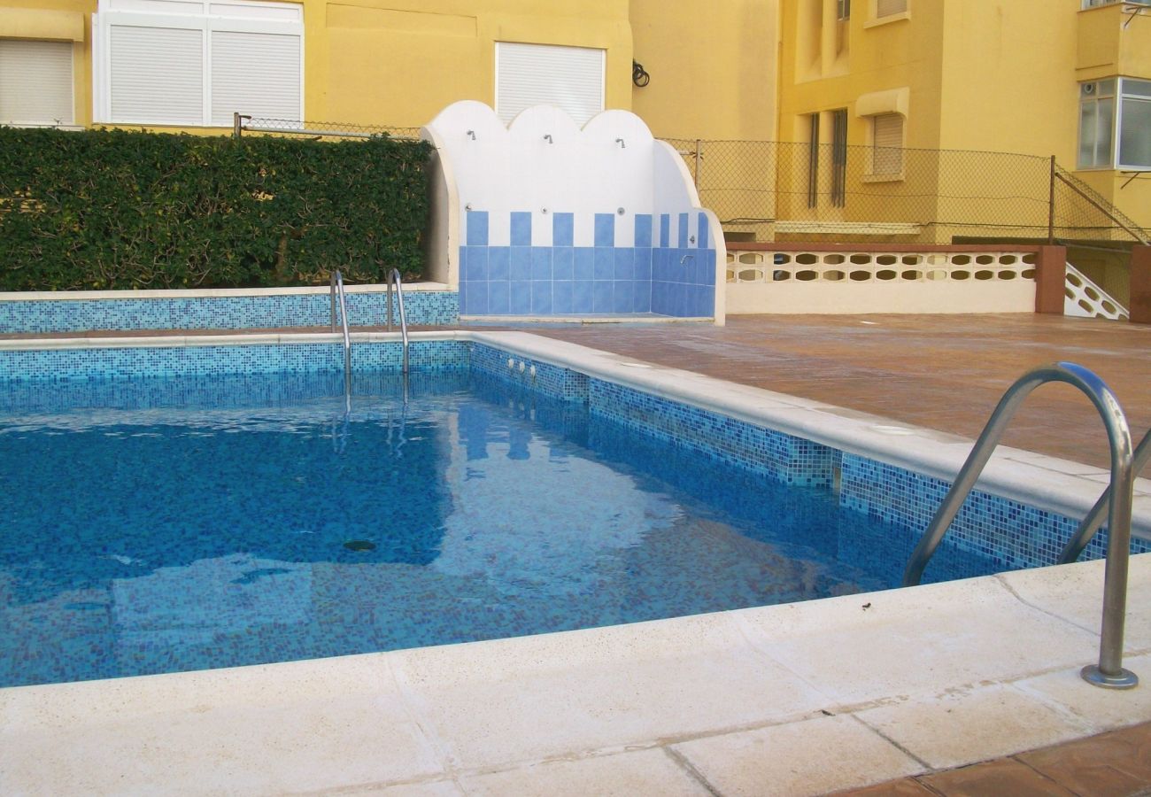 Apartamento en Gandia - TORRES DEL MAR 11 - 32  /  PLAYA DE GANDIA