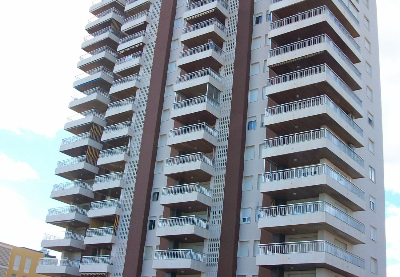 Apartamento en Gandia - TORRES DEL MAR 11 - 32  /  PLAYA DE GANDIA