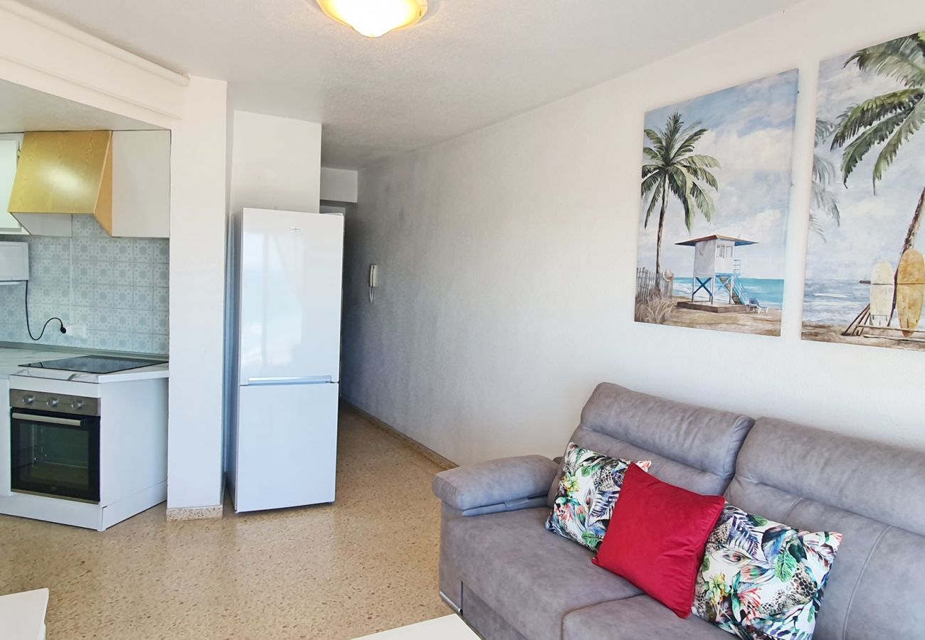 Apartamento en Gandia - BONAIRE E3 - 12   /   PLAYA DE GANDIA
