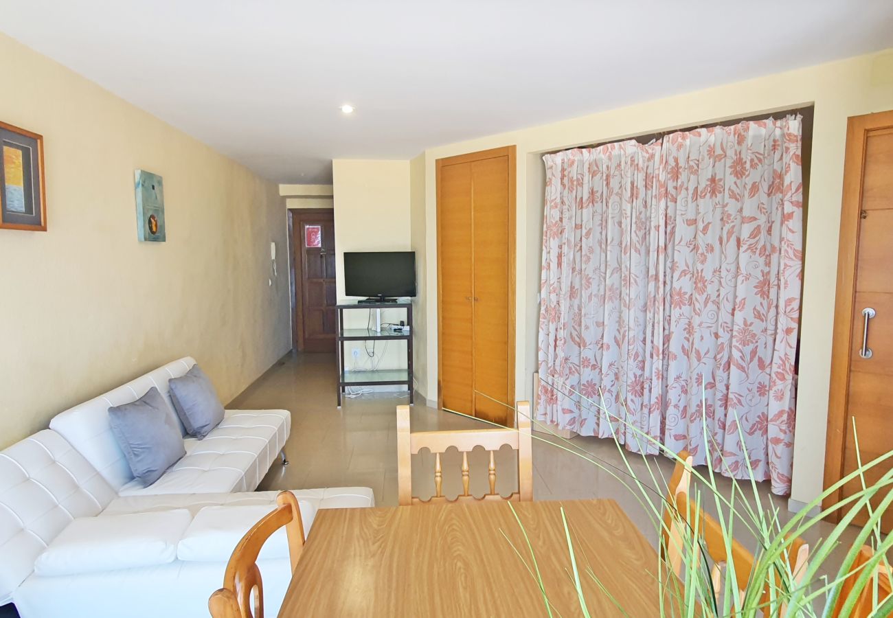 Apartamento en Gandia - BONAIRE E4 - 10   /   PLAYA DE GANDIA