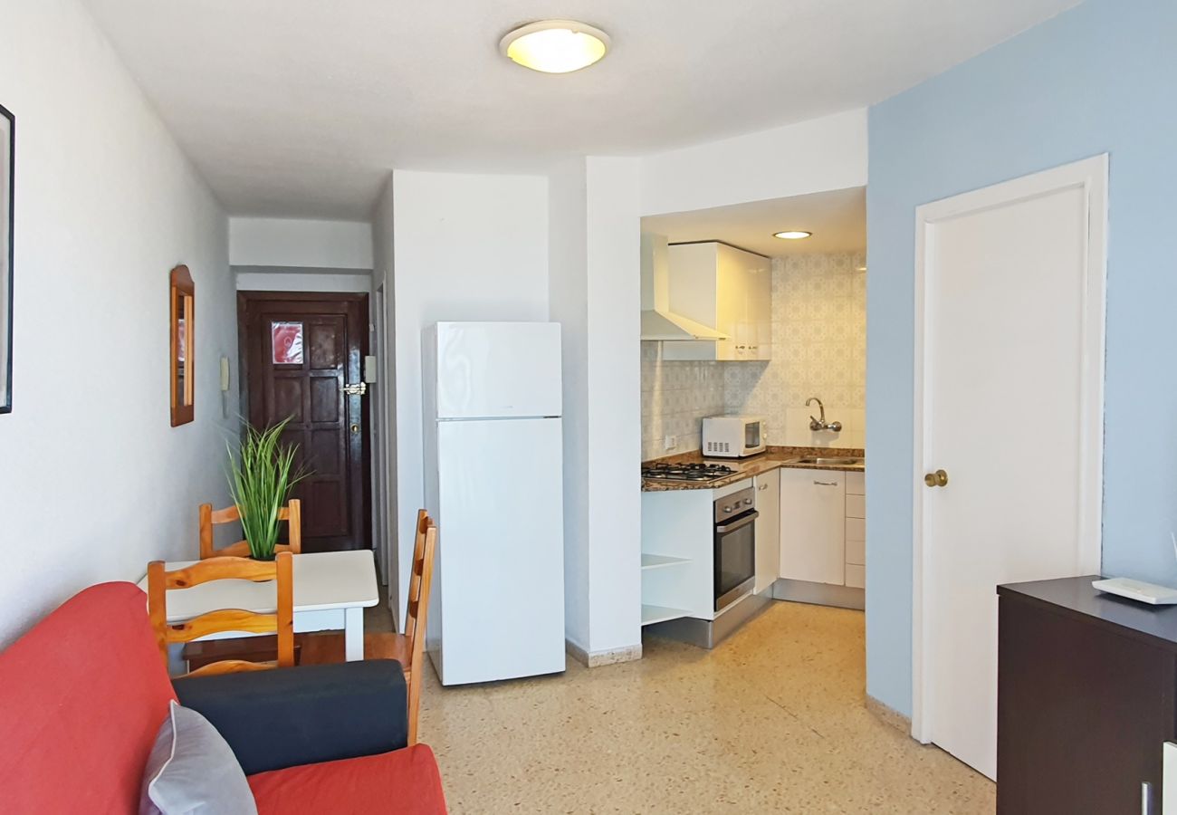 Apartamento en Gandia - BONAIRE E4 - 12   /   PLAYA DE GANDIA