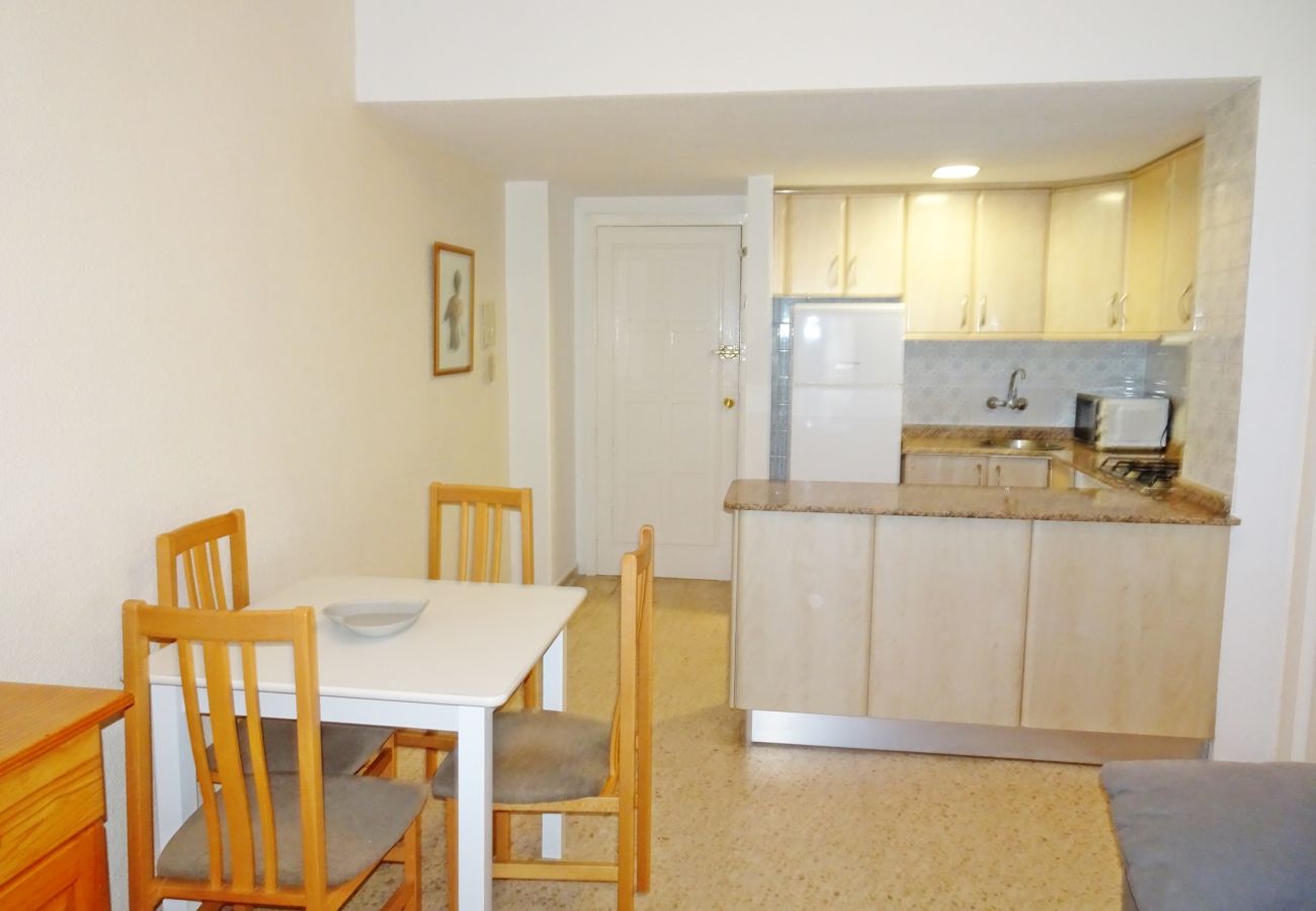 Apartamento en Gandia - BONAIRE E5 - 11º   /   PLAYA DE GANDIA